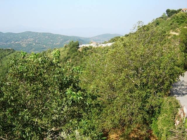 640Xorio_Mpouloutsou