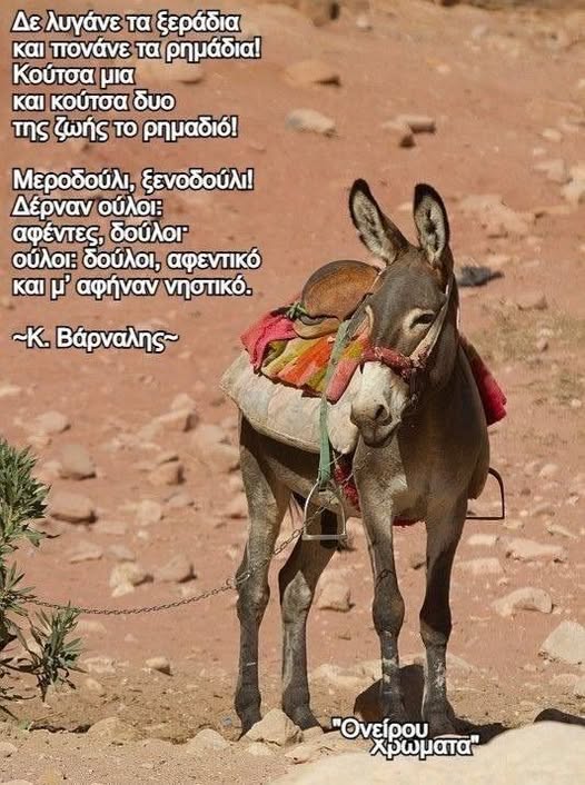 Υμνοσ στο χαϊδουράκι
